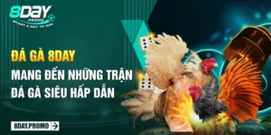 Đá Gà 8Day - Mang Đến Những Trận Đá Gà Siêu Hấp Dẫn