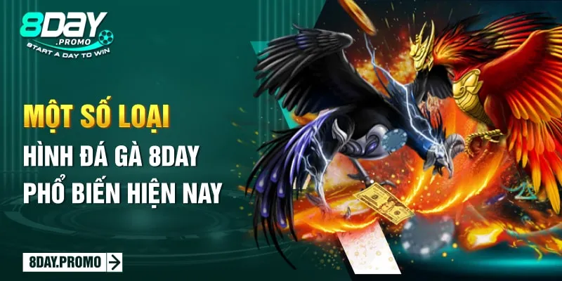 Đá Gà 8Day - Mang Đến Những Trận Đá Gà Siêu Hấp Dẫn 3 Một số loại hình đá gà 8Day phổ biến hiện nay
