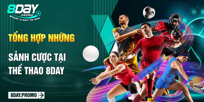 Thể Thao 8Day 3 Tổng hợp những sảnh cược tại Thể Thao 8Day