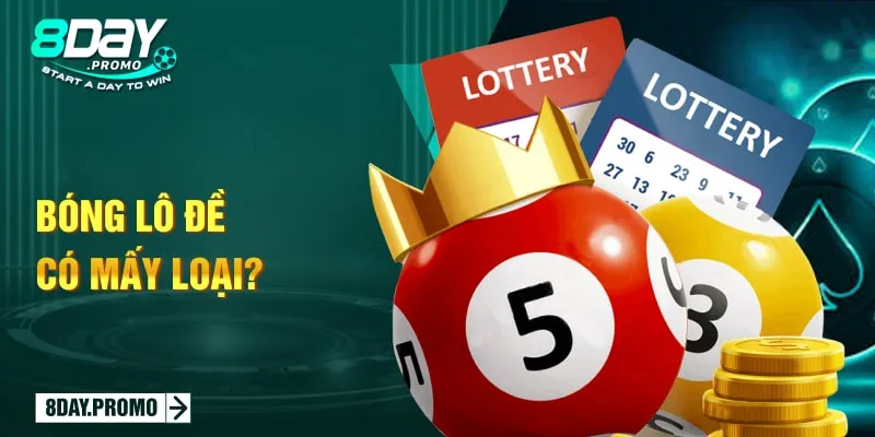 Bóng lô đề có mấy loại? Bóng lô đề có mấy loại?