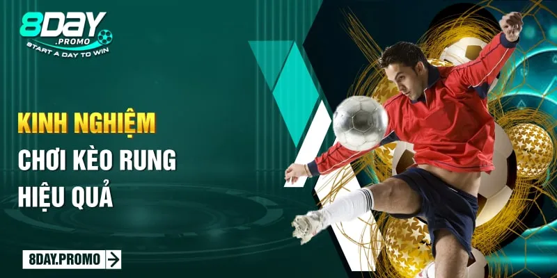 Kèo Rung - Hướng Dẫn Đọc Kèo Và 3+ Bí Kíp Chốt Lời Hiệu Quả 3 Kinh nghiệm chơi kèo rung hiệu quả